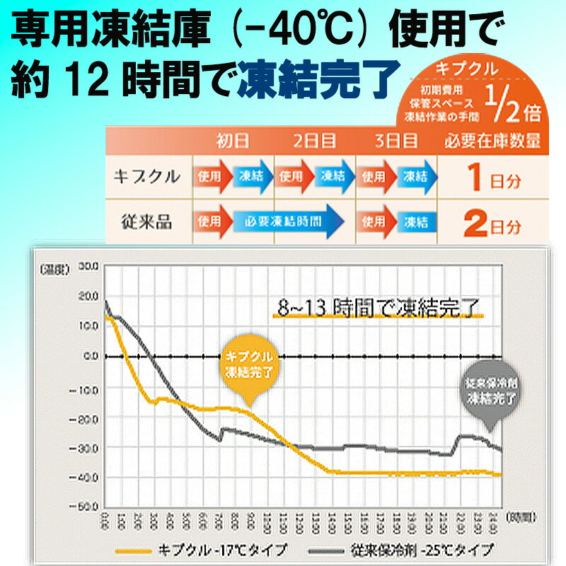 保冷剤 キプクル 20個入 −10/−15/−17度選択 290×220×12mm 500g 薄型 業務用 長時間...