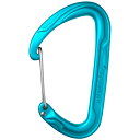 カラビナ ピュアワイヤー 737770003290 素材摩耗を軽減 ロープアクセス EDELRID MIZO 代引不可