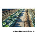 農道用ゴムマット 5mm厚×幅500mm×長さ4m イボタイプ あぜ 轍 用 資材 ぬかるんだ地用 魚瀬ゴム 代引不可
