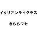 種 3kg PVP イタリアンライグラス きららワセ 雪印種苗 米S 代引不可 (海外持出禁止 登録品種名:きららワセ 農林水産省品種登録:第21213号)