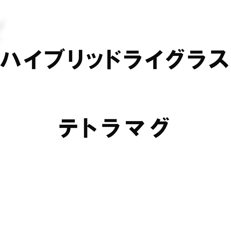 種 2kg ハイブリッドライグラス テトラマグ 雪印種苗 米S 代引不可 登録品種名:テトラマグ 