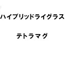 種 2kg ハイブリッドライグラス テトラマグ 雪印種苗 米S 代引不可 (登録品種名:テトラマグ)