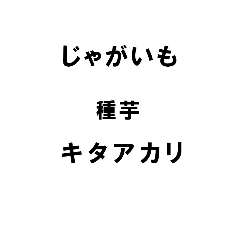 10kg 種芋 キタアカリ M玉 じゃがいも ジャガイモ 栽培用 春ジャガ 米S 代引不可 (登録品種名:キタアカリ)