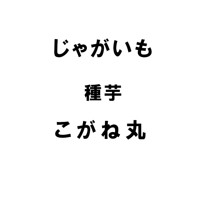 10kg 種芋 こがね丸 混玉 じゃがいも ジャガイモ 栽培用 米S 代引不可 日にち指定不可 (海外持出禁止 登録品種名:こがね丸 農林水産省品種登録:第17448号)