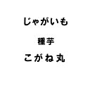 10kg 種芋 こがね丸 混玉 じゃがいも ジャガイモ 栽培用 米S 代引不可 日にち指定不可 (海外持出禁止 登録品種名:こがね丸 農林水産省品種登録:第17448号)