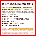 ダイライト 角型容器 RL-300リットル (目盛付・排水栓付) 日A 個人宅配送不可 北海道配送不可 代引不可 3