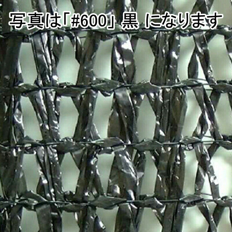1.8m × 50m シルバー 遮光率55〜60％ ワイエムネット 遮光ネット #600 寒冷紗 望月 タ種 【代引不可】