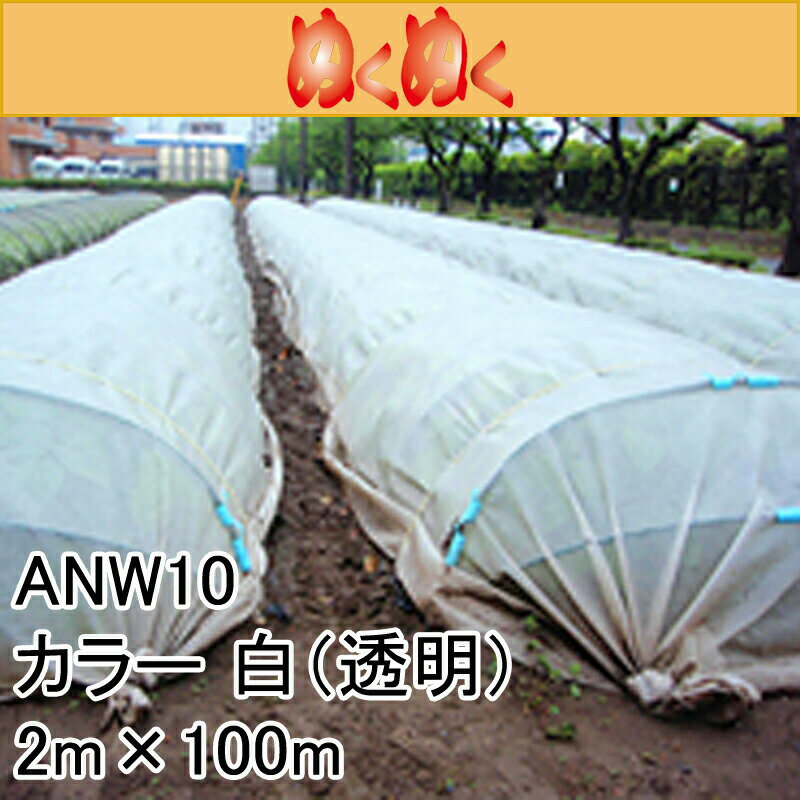 2m  100m (Ʃ) ̤̤ ׸ͥå ANW10  JX ANCI T Բ