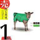AGジャケット ライト グリーン...