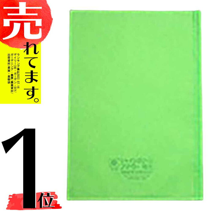 2000枚 果実袋 ぶどう シャイングリーン ブドウ袋 10号 238×340mm シャインマスカットなど 柴 タ種D