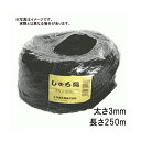 12玉 シュロ縄 黒 3mm×250m 2本出し 早S 代引不可