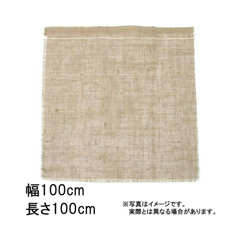 100枚 グリーンシート 四角 100 100cm × 100cm 早S 代引不可