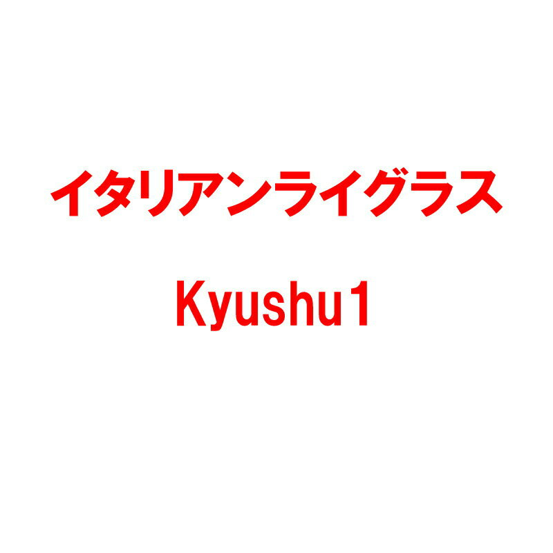 種 1kg イタリアンライグラス Kyushu1 雪印種苗 米S 代引不可 (登録品種名:Kyushu1)