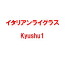 種 1kg イタリアンライグラス Kyushu1 雪印種苗 米S 代引不可 (登録品種名:Kyushu1)