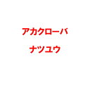 種 3kg PVP アカクローバ ナツユウ 早生 畑地 酪農 景観用 緑肥 雪印種苗 米S 代引不可 (海外持出禁止 登録品種名:ナツユウ 農林水産省品種登録:...