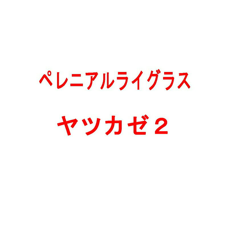 種 1kg PVP ペレニアルライグラス ヤツカゼ2 雪印種苗 米S 代引不可 (海外持出禁止 登録品種名:ヤツカゼ2 農林水産省品種登録:第15552号)