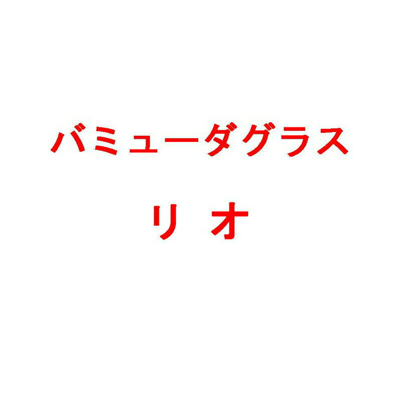 種 1kg バミューダグラス リオ コート種子 雪印種苗 米S 代引不可 (登録品種名:ペンサコラ)