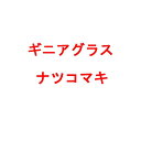 種 1kg ギニアグラス ナツコマキ 雪印種苗 米S 代引不可 (登録品種名:ナツコマキ)