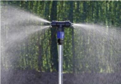 ��3/31�ޤǥ���ȥ꡼�Ǻ���100%P�Хå��ۥ���ѥ� �ɤ��Ǥ�ߥ��� 4Ƭ�� �⤵���̼�138.5��191cm �� ���� ʮ̸�ߥ��� �����Υ仺�� D