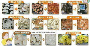 食品乾燥機ドラッピーmini(ミニ)DSJ-mini静岡製機製