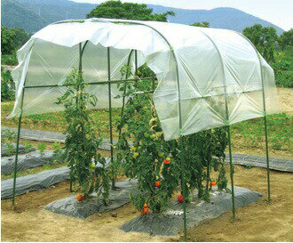 【100%ポイントバック エントリー&抽選2/25まで】4個 1.9×1.8m 家庭菜園 雨よけセット ワイド 間口約190cm 第一ビニール 第B 代引不可