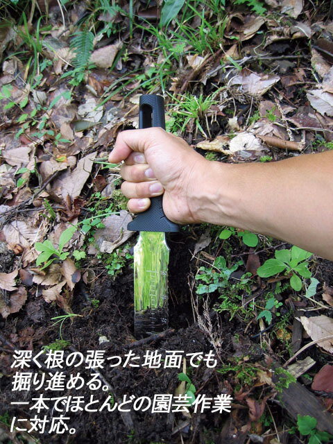 ��3/31�ޤǥ���ȥ꡼�Ǻ���100%P�Хå��ۻ���S (��ޥ�����S) No.801 �κ� ��YD