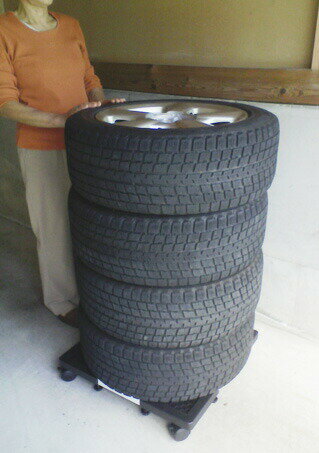 ����ѥ� �����䥭��꡼ ���̼� ������ΰ�ư �ݴɤ����� �����Υ仺�� D