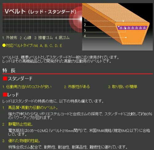 ��3/31�ޤǥ���ȥ꡼�Ǻ���100%P�Хå��ۥХ�ɡ����� V�٥�� ����������� B�� �Ƥӥ�����25��29 ��BD