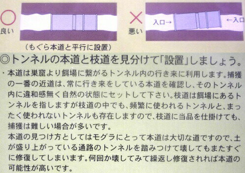 ��3/31�ޤǥ���ȥ꡼�Ǻ���100%P�Хå��ۥ���ѥ� ��ʹ� �⤰��ϥ��� 2���� ξ�⼰ �����Υ仺�� D