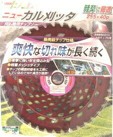 ��100%�ݥ���ȥХå� ����ȥ꡼������2/25�ޤǡ۹�����ü���åץ��� �˥塼���봢�å� 255��40P 98129 ��W H