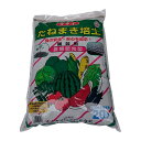 3袋 タキイ たねまき培土 20L 長期肥効型 培養土 肥料 園芸 ガーデニング タキイ種苗 米S 代引不可 個人宅配送不可