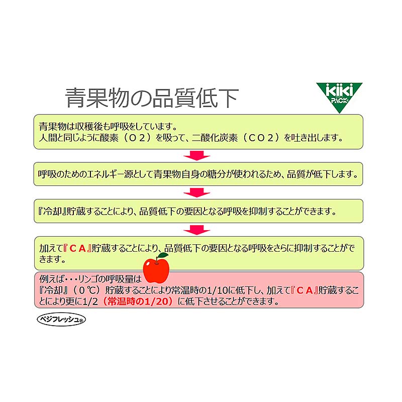 ��100%�ݥ���ȥХå� ����ȥ꡼������2/25�ޤǡ�1000�� �٥��ե�å������å��� M5���� 300��350mm 200���å� ��� ���� �ݻ��� ��S �̳�ƻ�Բ� �Ŀ��������Բ� ����Բ�