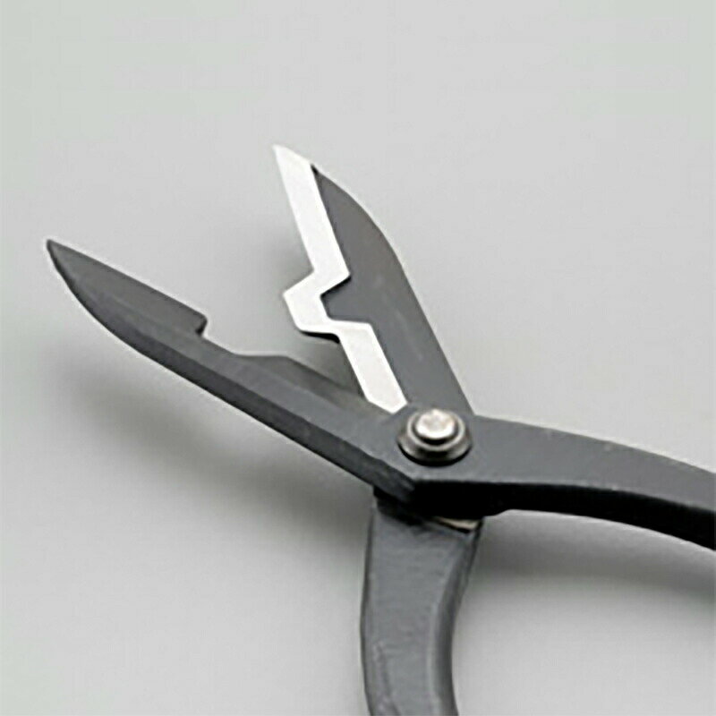 ��100%�ݥ���ȥХå� ����ȥ꡼������2/25�ޤǡ۱ۤζ⼯ ������ ���������� 417 ���ڥϥ��� ��ȹ��� ���ǹ��� �ȥ����� ����Хꥦ����� �� ��碌�� �ڤ� �⼯��������� H