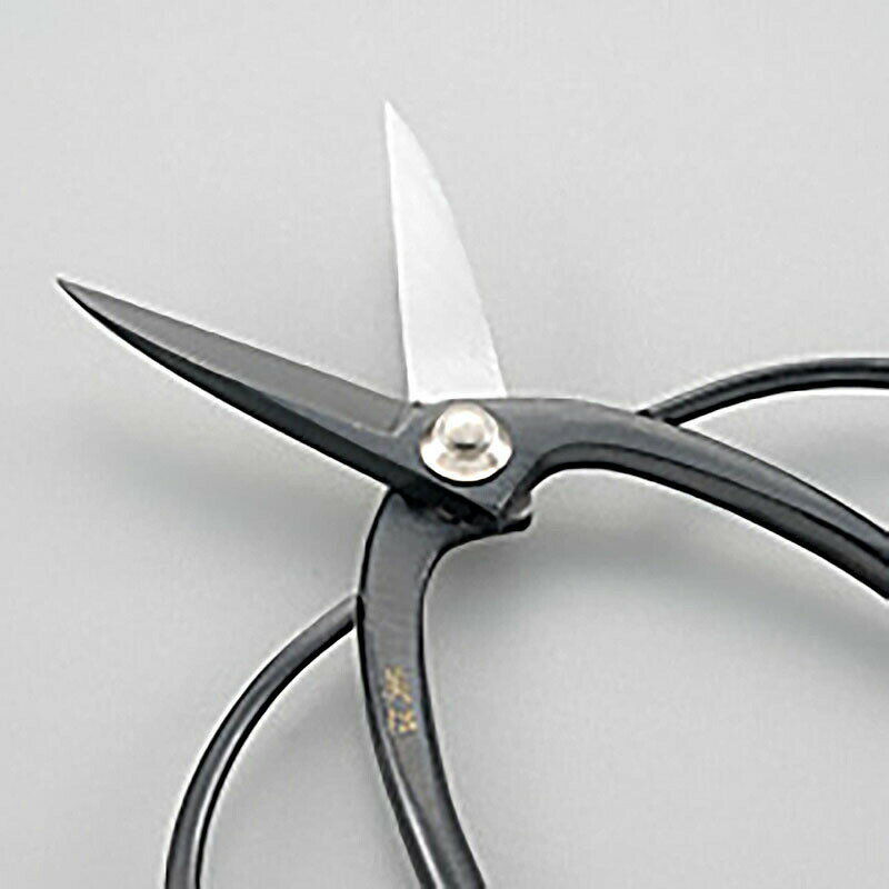 ��100%�ݥ���ȥХå� ����ȥ꡼������2/25�ޤǡ����� �ߺ��� 180mm 307-1 �֥ꥹ�����ѥå����� �ߺ����� ��� �����ǥ˥� �������� ���� ������ �⼯��������� H