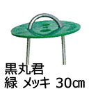 黒丸君 (緑) 4穴 錆びにくい メッキ杭 30cm 200組 槍木産業 うつぎ産業 カ施 代引不可
