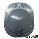 水口パイプ 灰色 125型 VP125 VU125 用 塩ビパイプ に接続可 KMW01 ( 田んぼ 水田 田 田んぼ の給水口 吸水口 取水栓 ) 東栄管機 ...