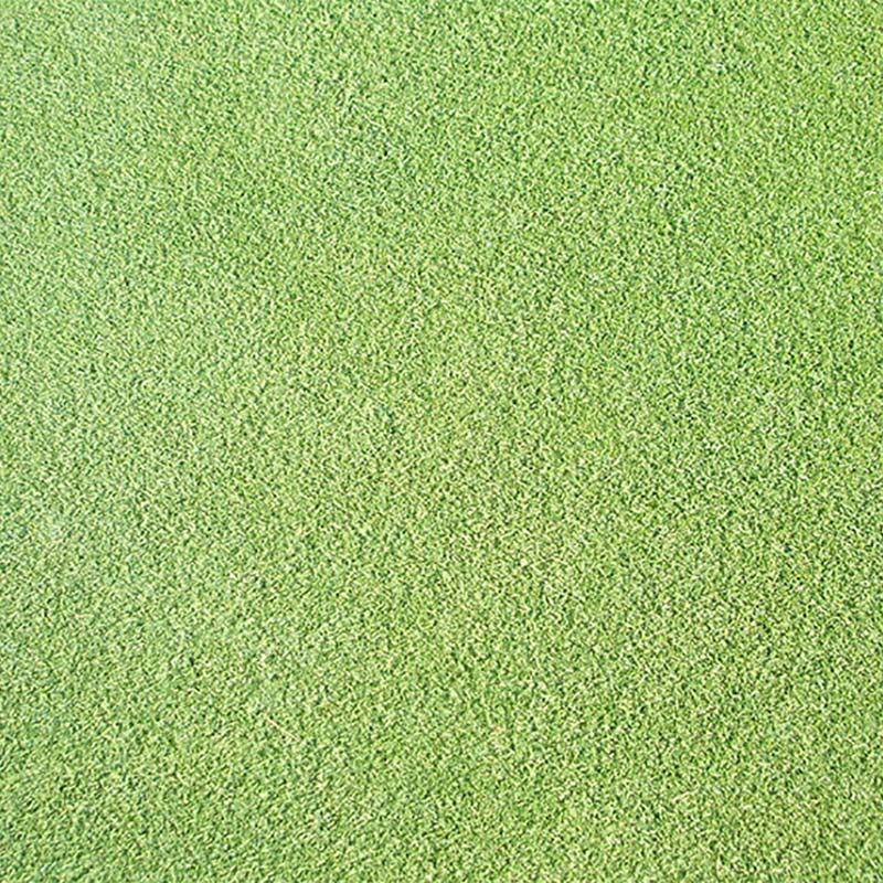 種 1kg PVP ベントグラス CY-2 裸種子 芝生用 緑肥 雪印種苗 米S 代引不可 (海外持出禁止 登録品種名: シーワイツー 農林水産省品種登録:第15550号)