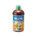 12本 カルシウム 1200cc アミノール化学 カルシウム欠乏予防 即効性葉面散布液肥 濃縮液体肥料 活力液肥 液体肥料 液肥 タS 代引不可