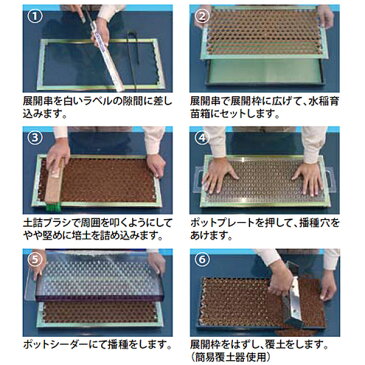 チェーンポット 播種5点セット CP303、CP304、CP305、BP303用LLコート種子3粒キャベツ・白菜・ブロッコリー、エダマメ類【代引不可】