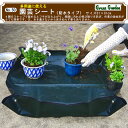 園芸シート 防水タイプ 80×80 No.50 小KD