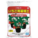 50L×1袋 タキイの いちご用培土 イチゴ専用 無肥料型 ランナー受け 用土 培土 育苗 にタキイ種苗 タS 個人宅配送不可 北海道配送不可 代引不可