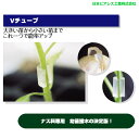 北海道不可 10000個 Vチューブ65 小 ブルー 内径1.4、1.7mm楕円 長さ12mm ナス科用 接木チューブ 透明 タS 代引不可