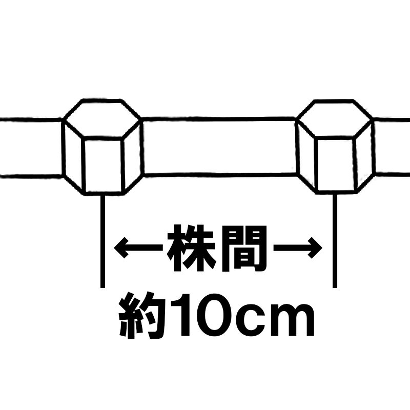 即使用・育苗不可 75冊 らっきょう ミニ球根 用 ロングピッチチェーンポット ペーパーポット KLP303-10 264鉢 ニッテン 日本甜菜製糖 タ種 代引不可