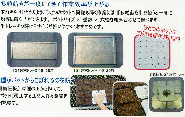 播種器 多粒蒔き 24角穴トレー 2×6 25粒 鎮圧板付 直径3.2mm メグリーン タSD 2