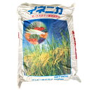 イネニカ 20kg 30袋セット 耐倒状性 水稲 タマネギ 野菜 土壌改良 肥料 覆土 ケイカル K物D 個人宅配送不可