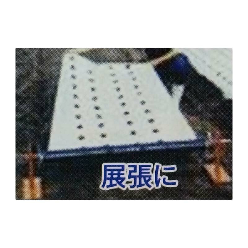 ��3/31�ޤǥ���ȥ꡼�Ǻ���100%P�Хå��۾����ޥ��ȡ��� ���Ҽ��� ���ڻ��� ���Ĥ����� ��T ����Բ�