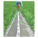 plusys7022:10025345のサンプル画像2