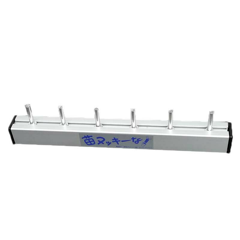 ��100%�ݥ���ȥХå� ����ȥ꡼������2/25�ޤǡۥץ饰�ȥ졼 ����ȥ쥤 �ĳ�������ȴ���� �ĥ̥å����ʡ� �ĥ̥å����� ���¥��꡼�� ����Բ�