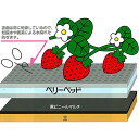 ベリーベッド NW70N-30 30cm×50m いちご 栽培用 緩衝 吸水マット 苺 イチゴ ベリーベット ベル開発 カ施 北海道不可 代引不可