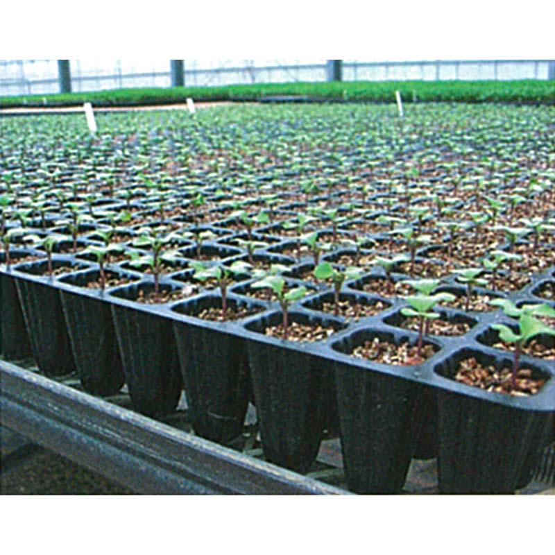 【4/30までエントリーで最大100%Pバック】タキイ 根巻防止 セルトレイM型 白 128穴...